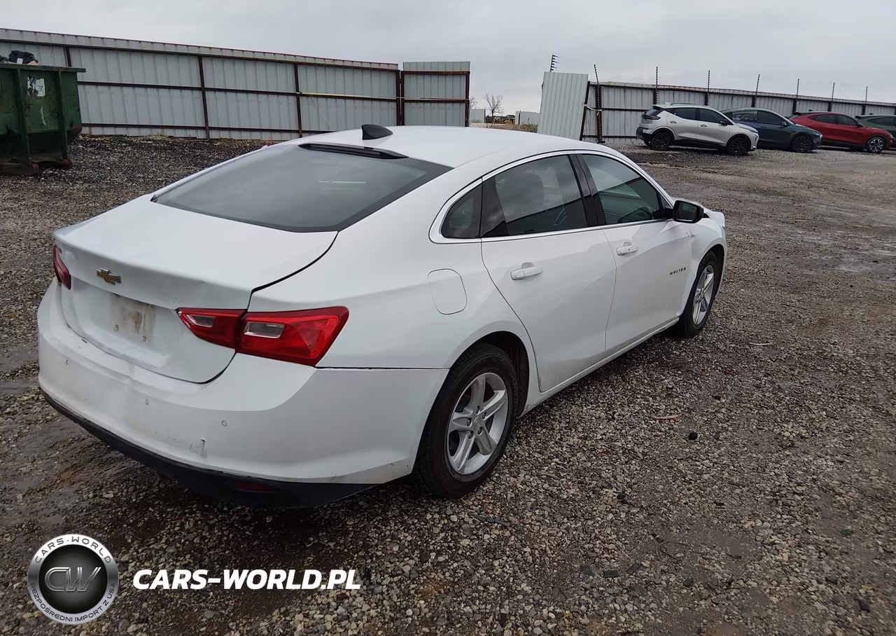 2023 Chevrolet Malibu Fwd 1Fl VIN:1G1ZC5ST1PF153523 - 4