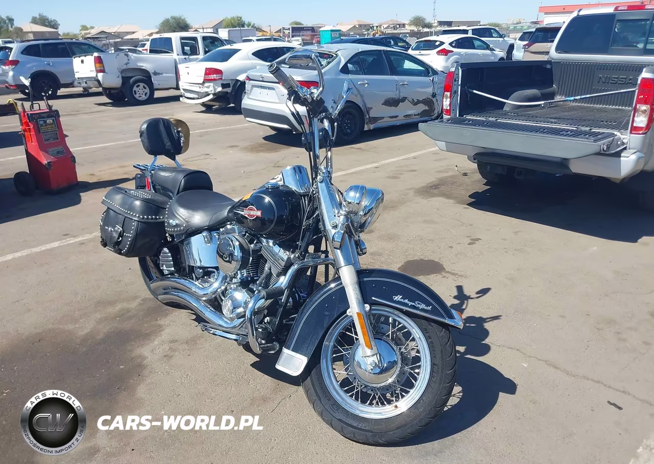 2006 Harley-Davidson Flstci