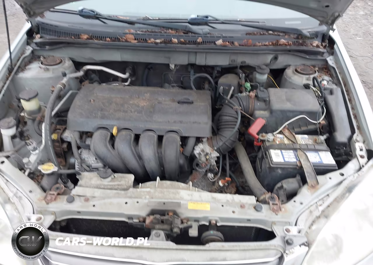 2003 Toyota Corolla Le VIN:1NXBR32E33Z097664 - 10
