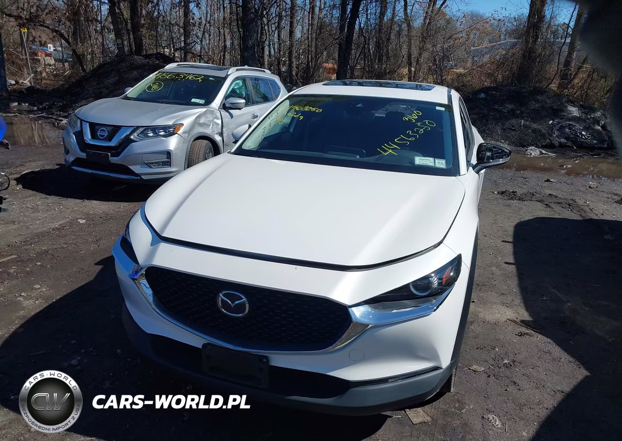 2021 Mazda Cx-30 Preferred VIN:3MVDMBCL3MM256450 - 12
