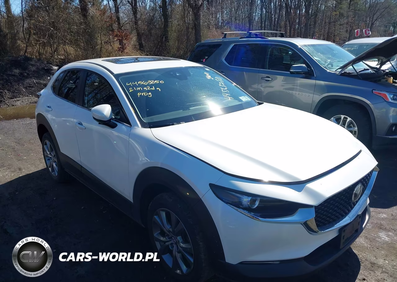 2021 Mazda Cx-30 Preferred VIN:3MVDMBCL3MM256450 - 13