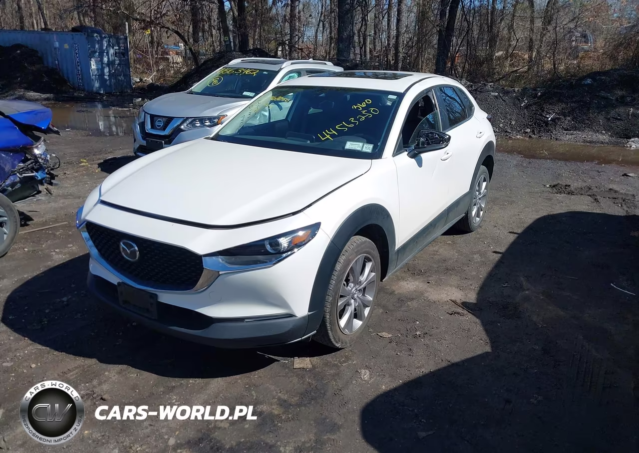 2021 Mazda Cx-30 Preferred VIN:3MVDMBCL3MM256450 - 2