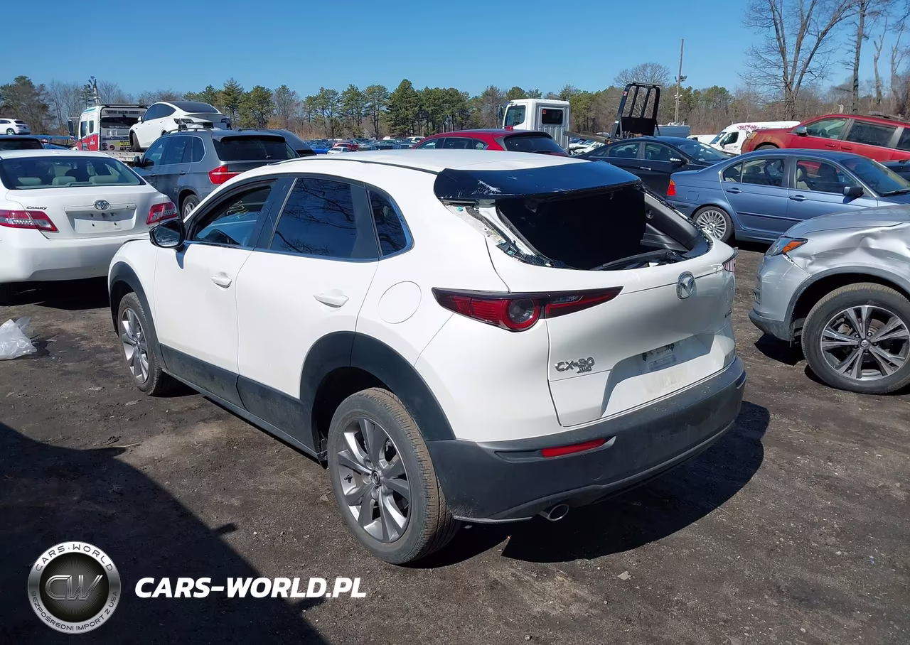 2021 Mazda Cx-30 Preferred VIN:3MVDMBCL3MM256450 - 3