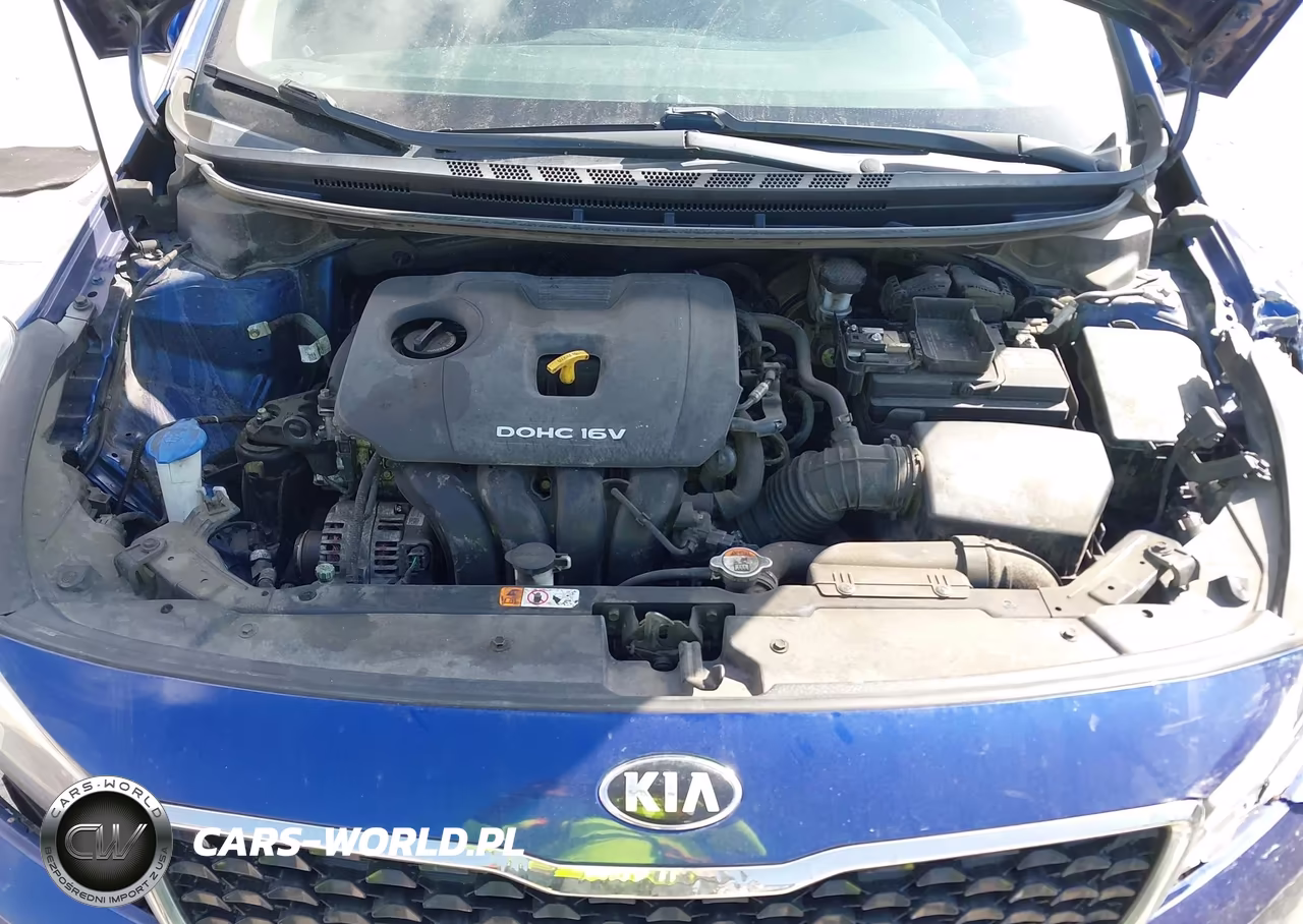 2017 Kia Forte Lx VIN:3KPFK4A78HE151405 - 10
