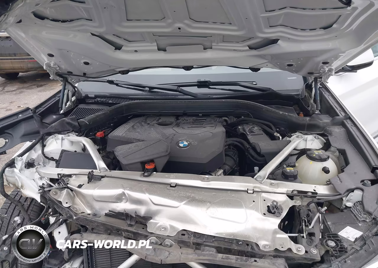 2022 BMW X3 Sdrive30I VIN:5UX43DP02N9N06274 - 10