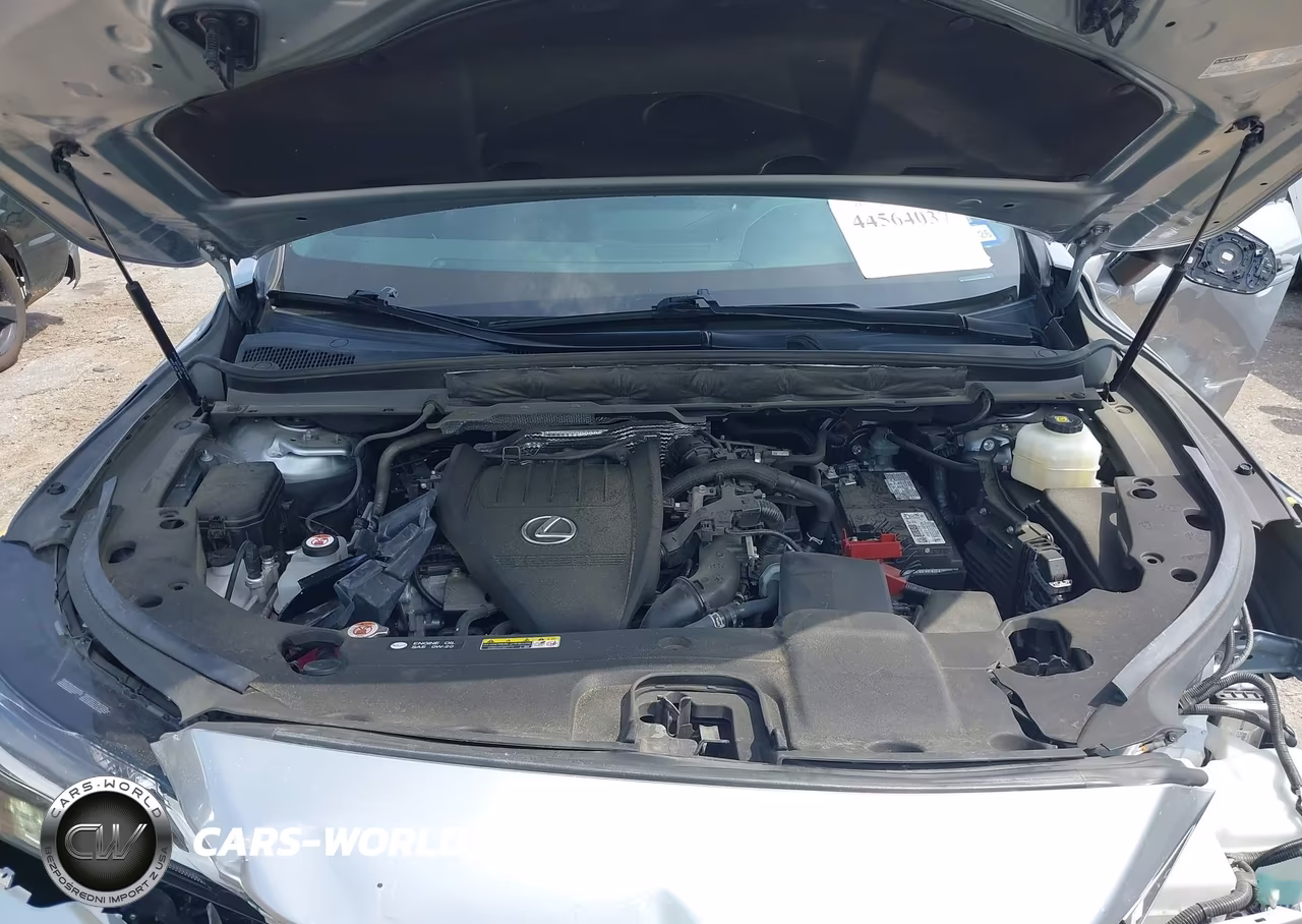2023 Lexus Rx 350 Premium VIN:2T2BAMBA2PC002475 - 10