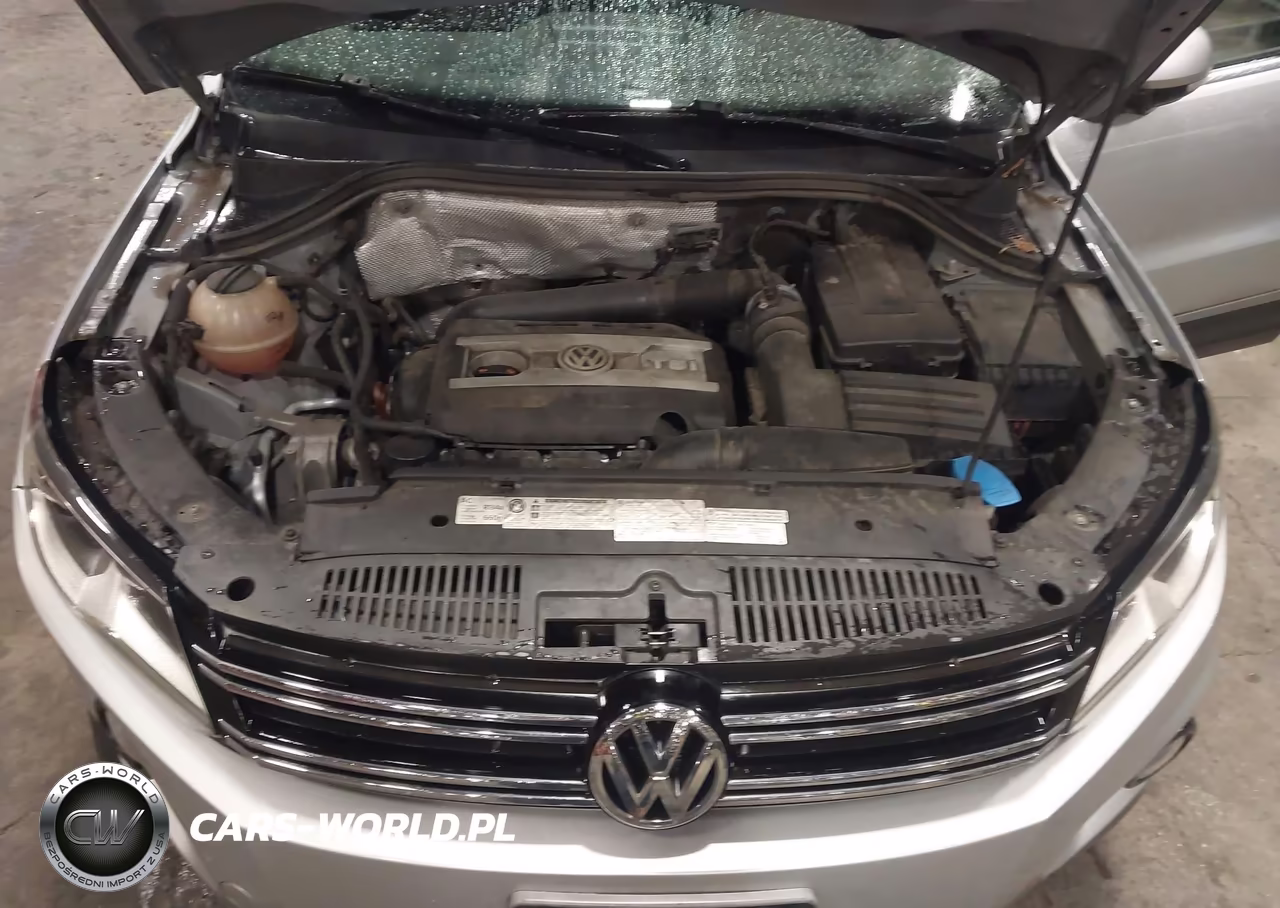 2013 Volkswagen Tiguan Se VIN:WVGBV7AX3DW511375 - 10