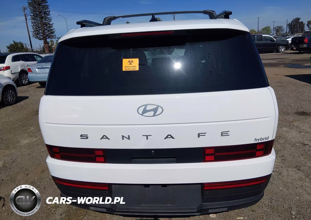 2025 Hyundai Santa Fe Hybrid Sel VIN:5NMP24G11SH037169 - 17