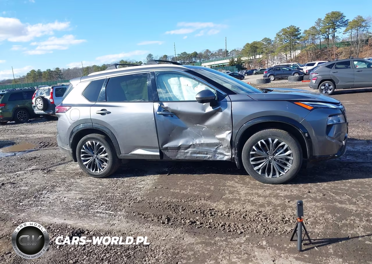 2025 Nissan Rogue Platinum Intelligent Awd VIN:JN8BT3DDXSW303287 - 13