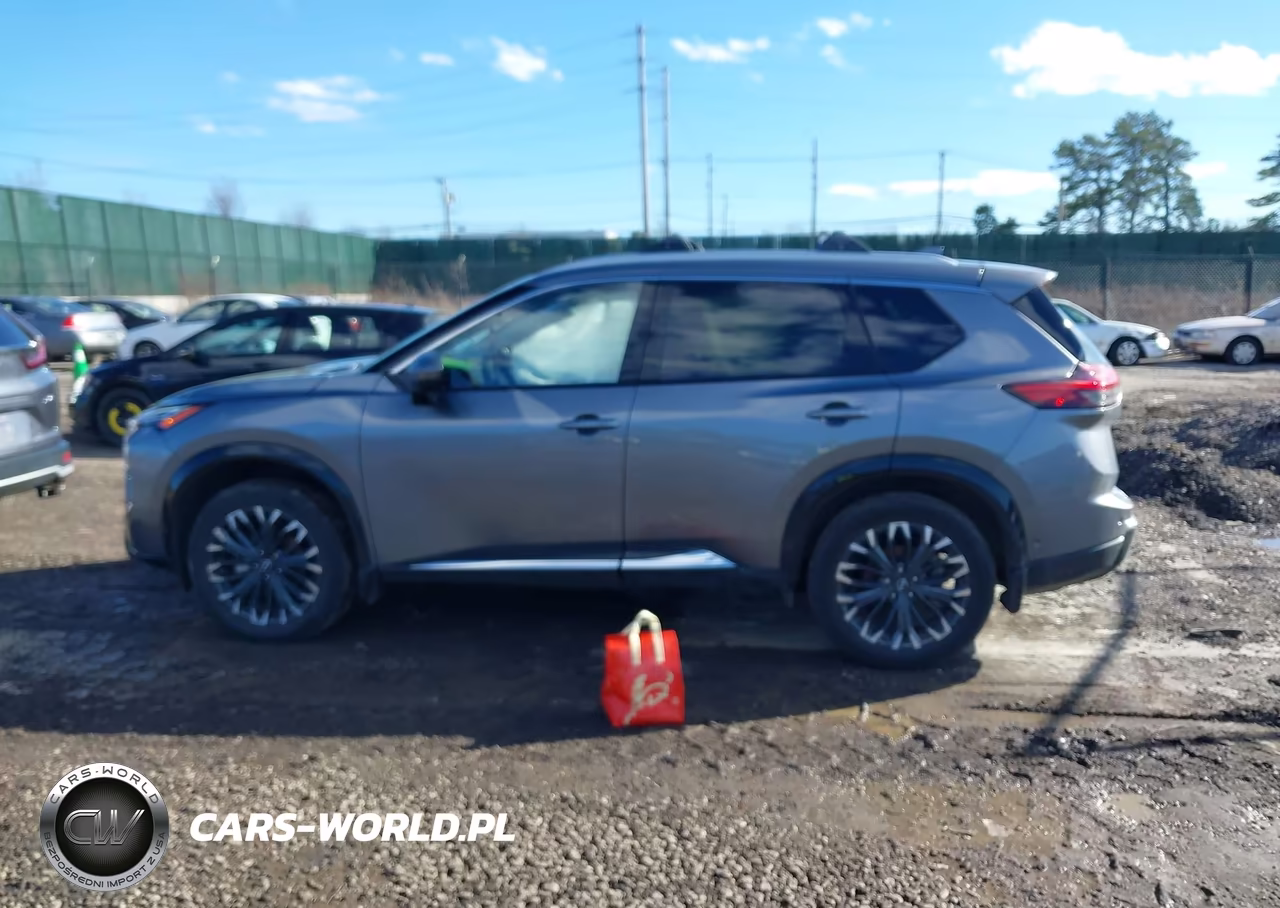 2025 Nissan Rogue Platinum Intelligent Awd VIN:JN8BT3DDXSW303287 - 14