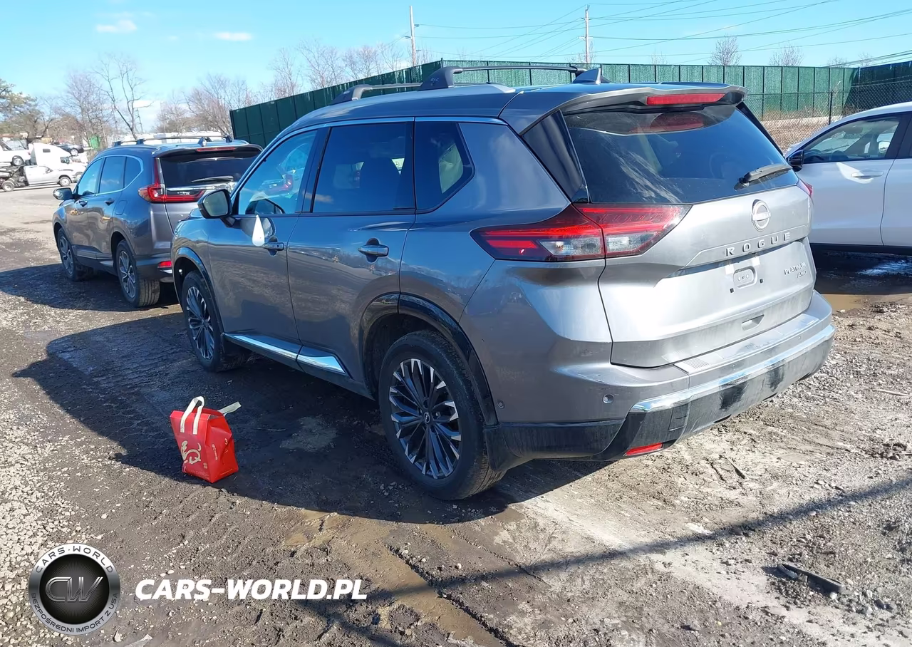 2025 Nissan Rogue Platinum Intelligent Awd VIN:JN8BT3DDXSW303287 - 3