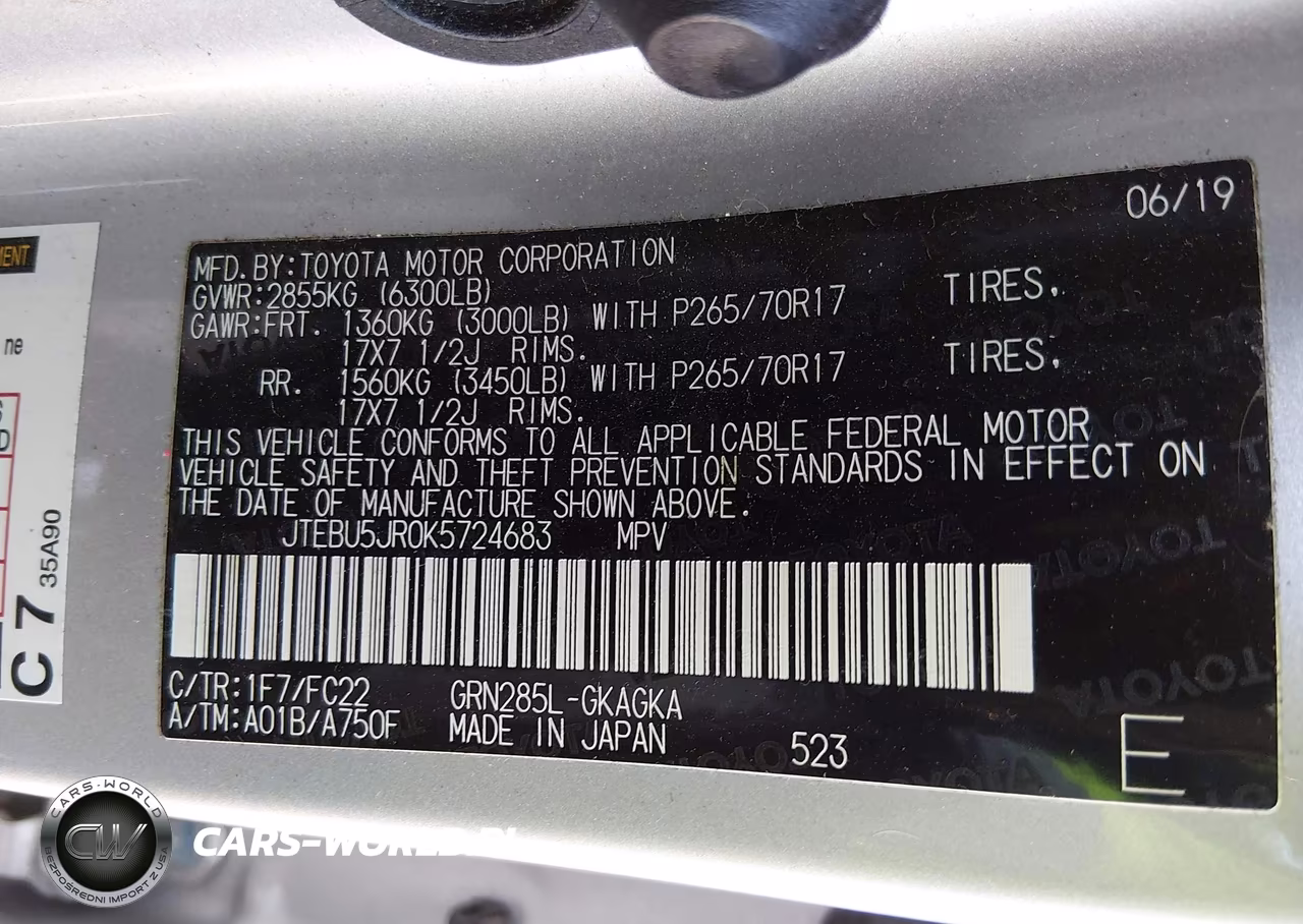 2019 Toyota 4Runner Trd Off Road VIN:JTEBU5JR0K5724683 - 9