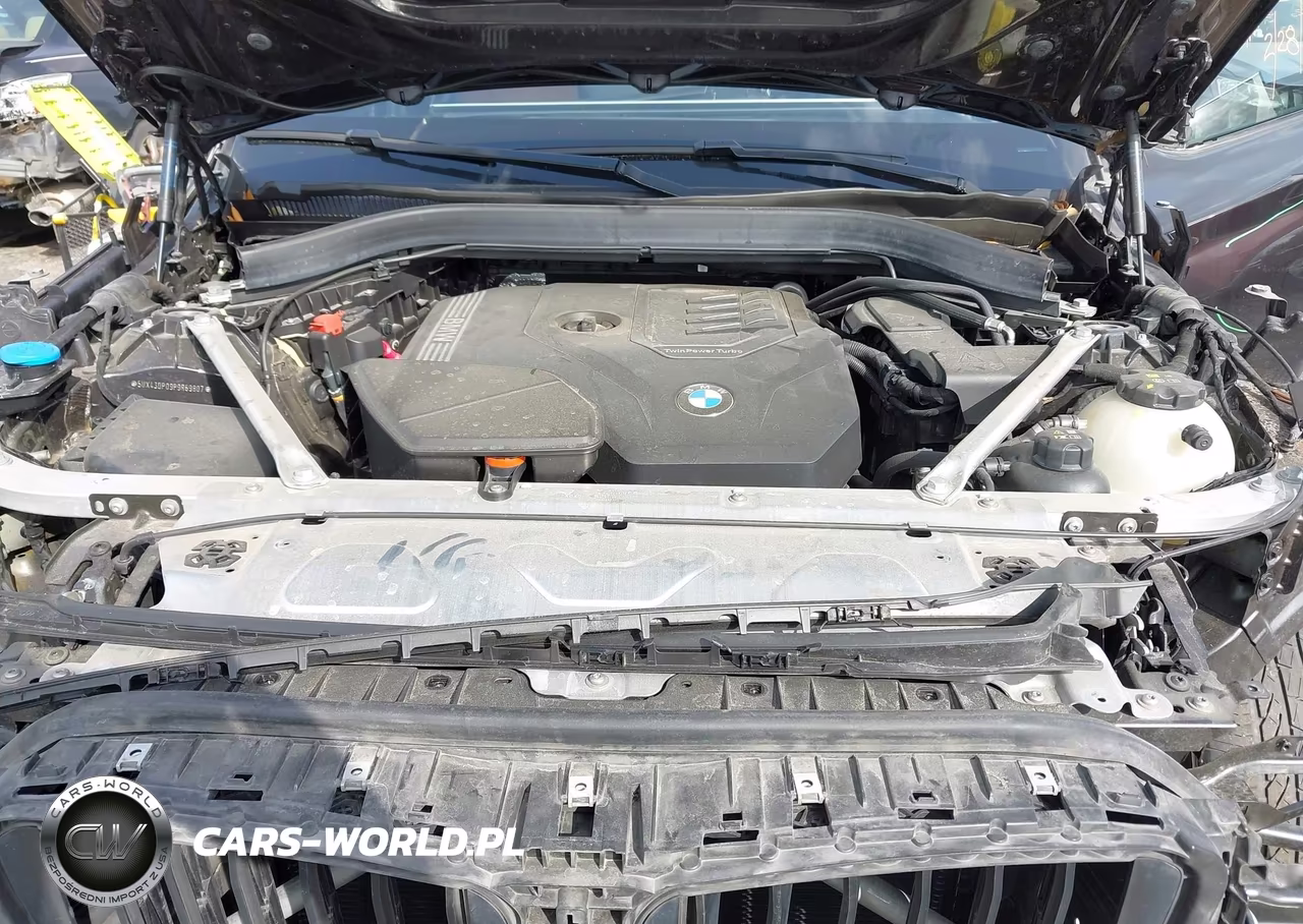 2023 BMW X3 Sdrive30I VIN:5UX43DP09P9R69807 - 10