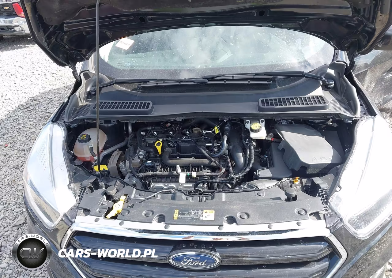 2019 Ford Escape Se VIN:1FMCU0GDXKUA94244 - 10