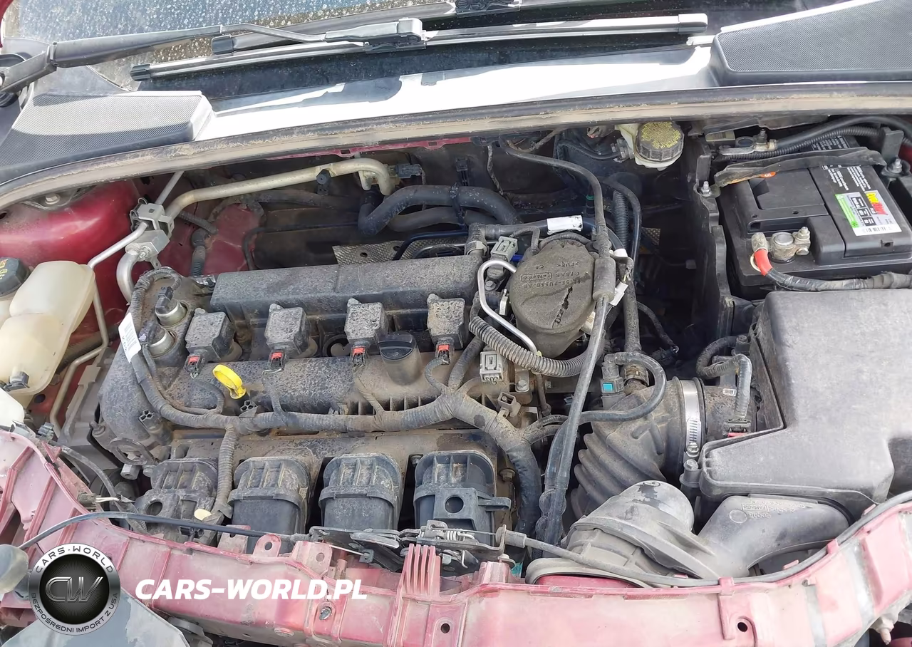 2013 Ford Focus Se VIN:1FADP3F27DL270523 - 10