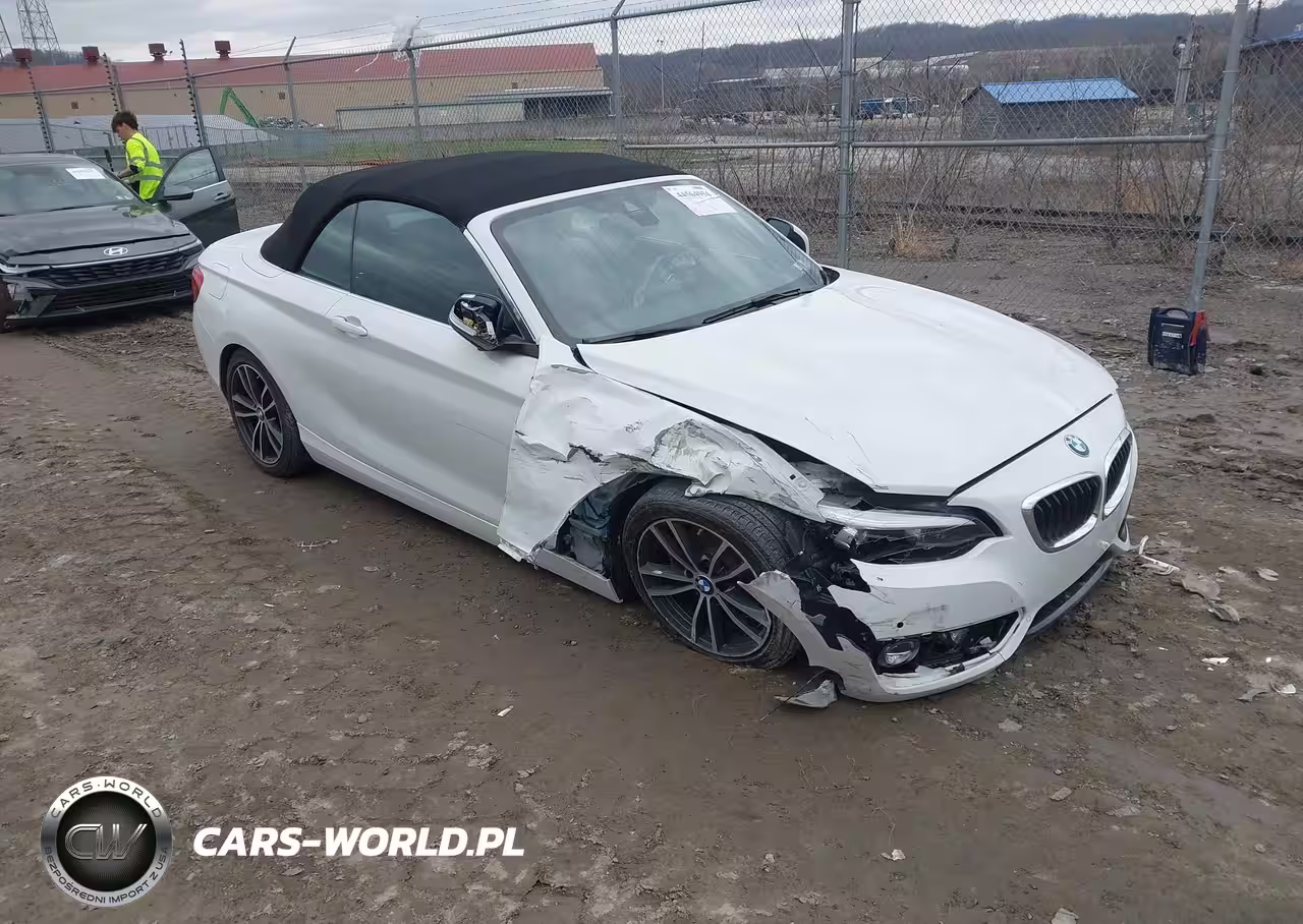 2019 BMW 230I xDrive