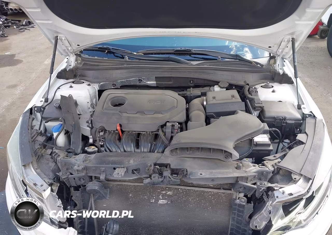 2019 Kia Optima Lx VIN:5XXGT4L37KG335292 - 10