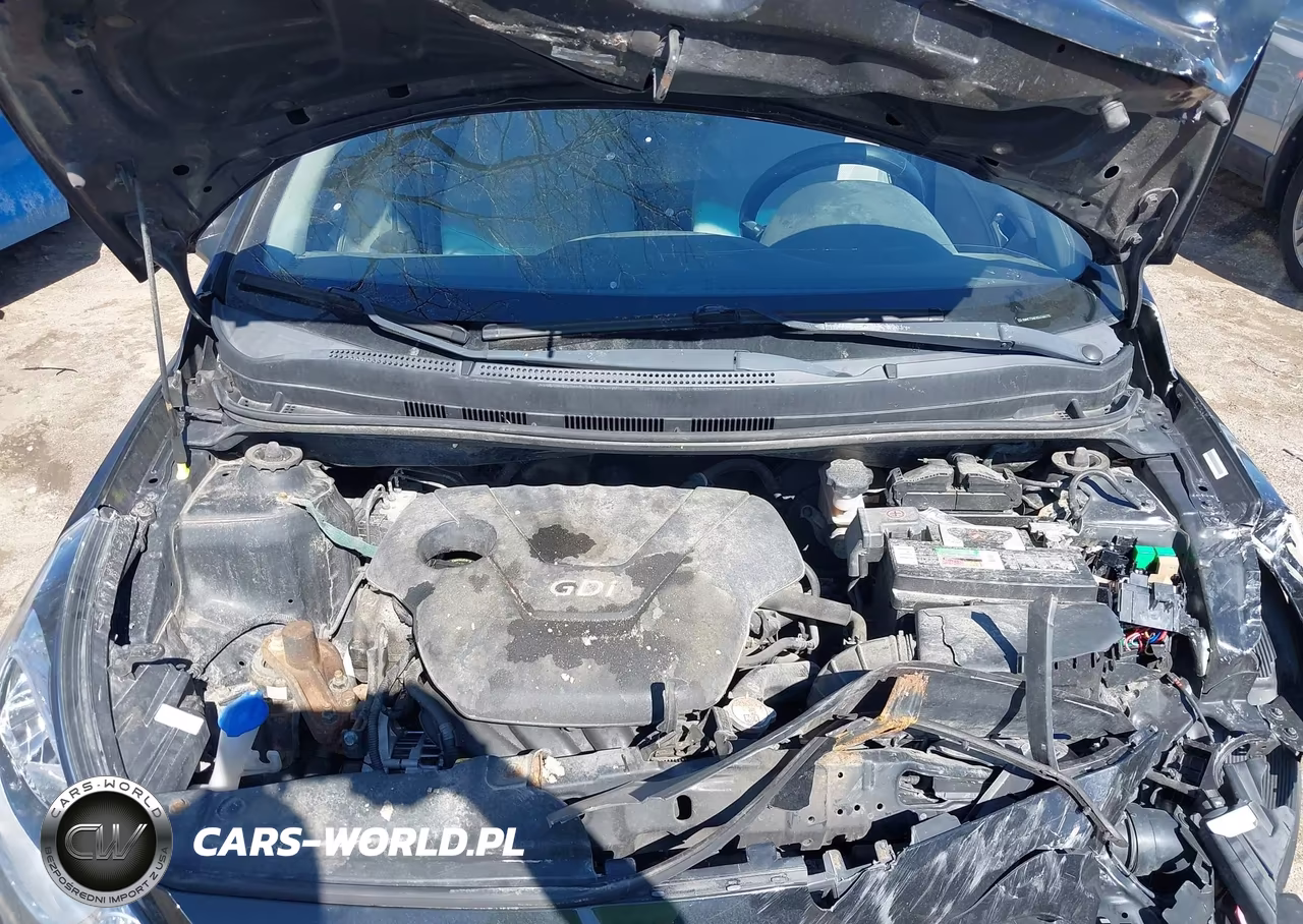 2014 Hyundai Accent Gs VIN:KMHCT5AEXEU166775 - 10