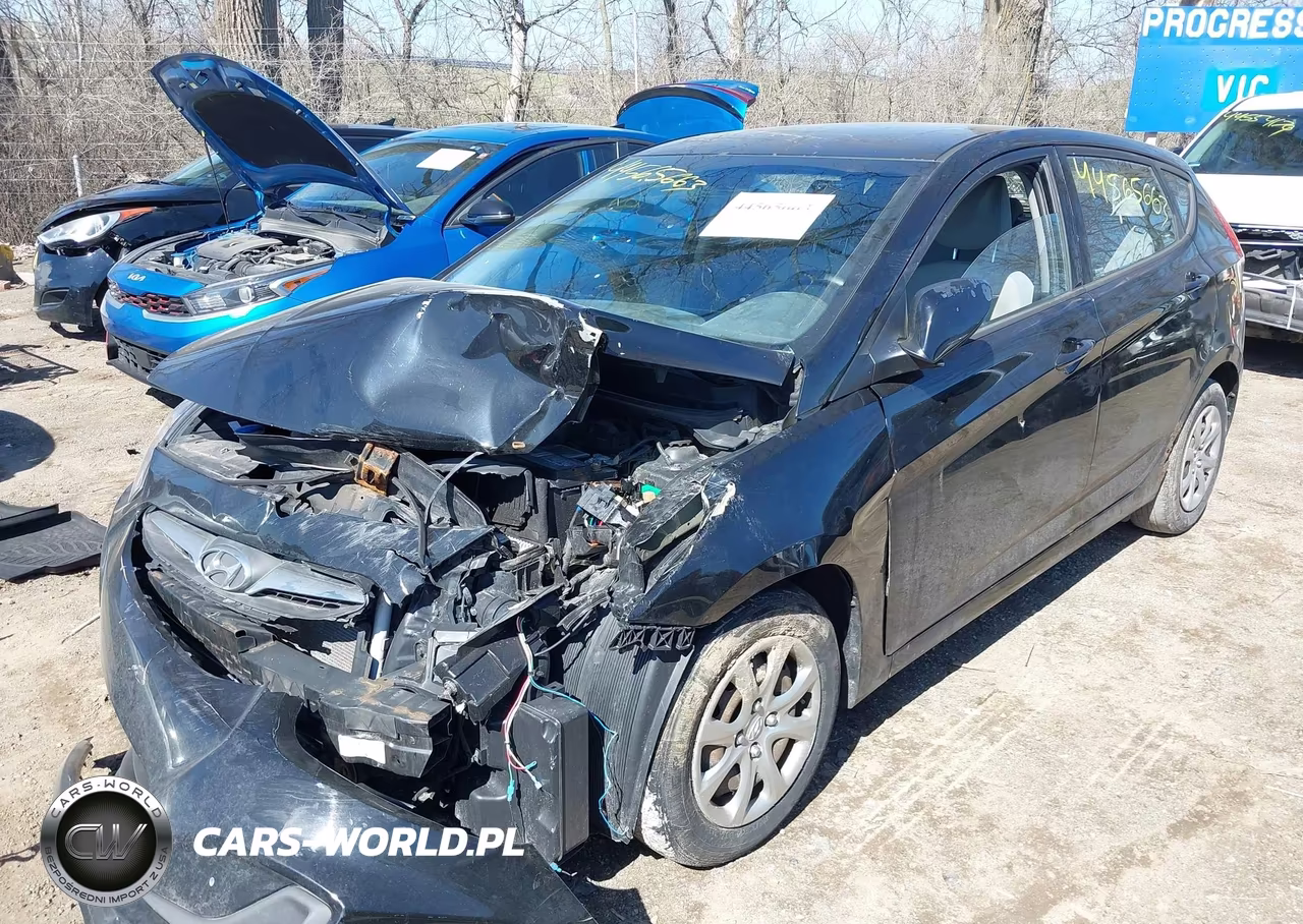2014 Hyundai Accent Gs VIN:KMHCT5AEXEU166775 - 6