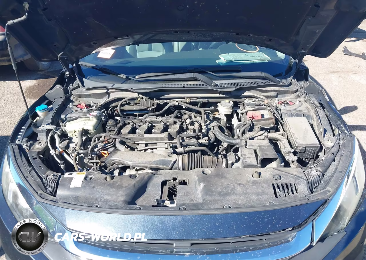 2016 Honda Civic Ex-L VIN:19XFC1F74GE025397 - 10