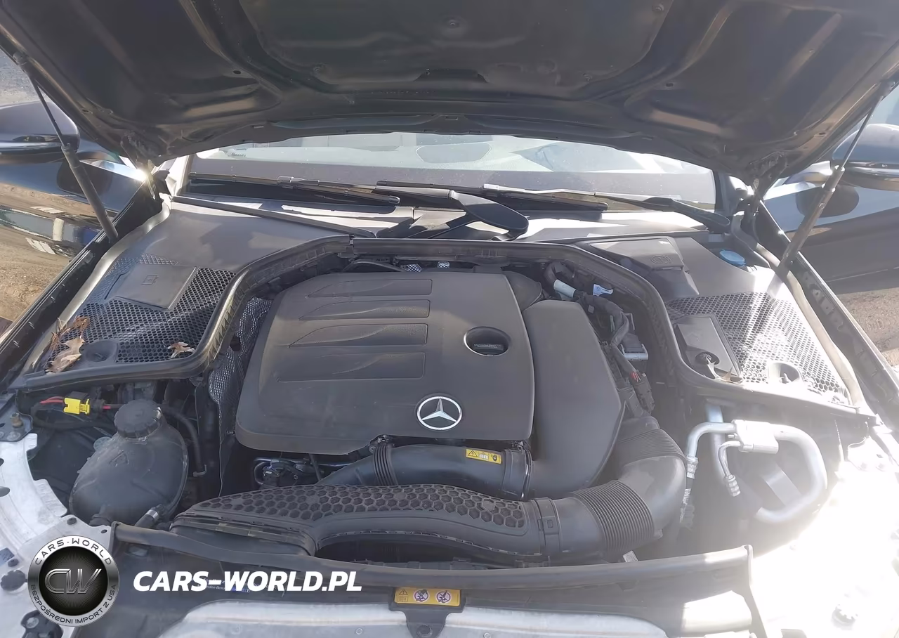2019 Mercedes-Benz C 300 4Matic VIN:55SWF8EB1KU292939 - 10
