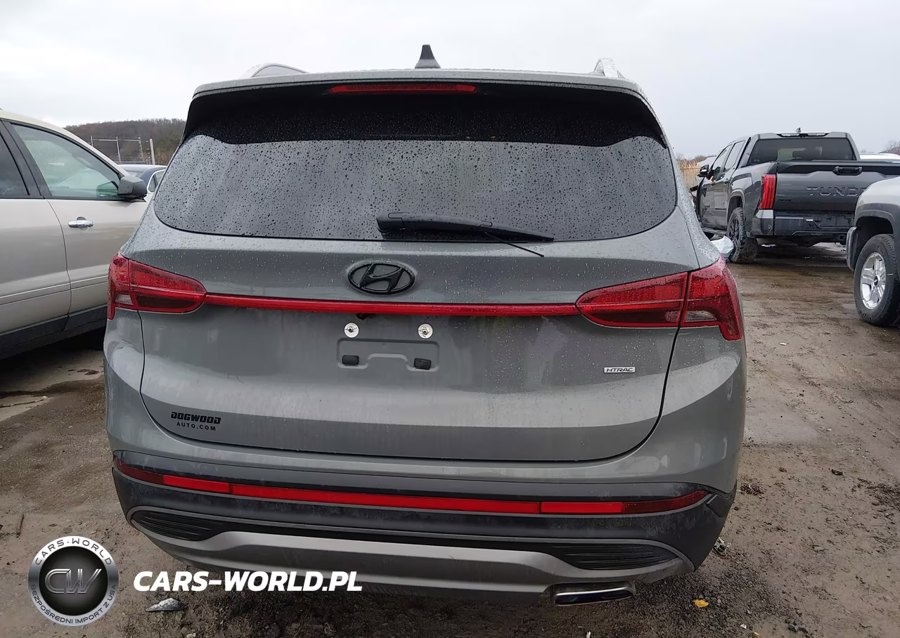 2023 Hyundai Santa Fe Sel VIN:5NMS2DAJ8PH538005 - 17