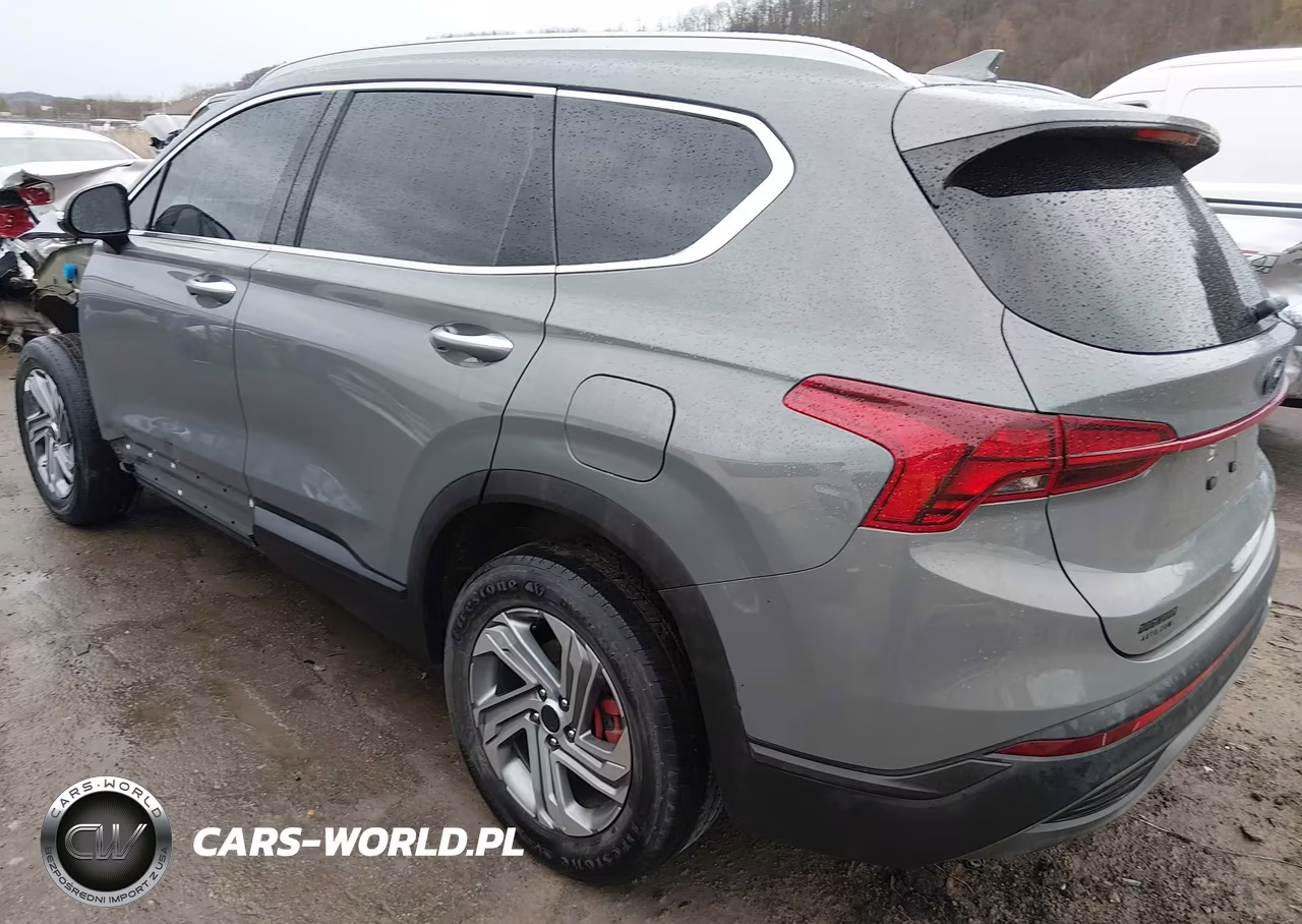 2023 Hyundai Santa Fe Sel VIN:5NMS2DAJ8PH538005 - 3