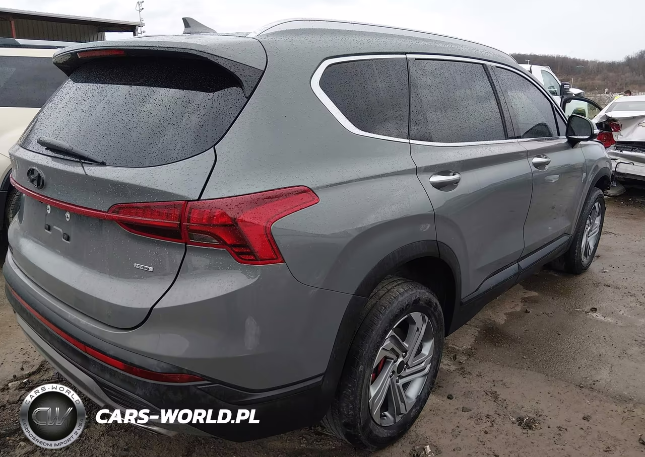 2023 Hyundai Santa Fe Sel VIN:5NMS2DAJ8PH538005 - 4