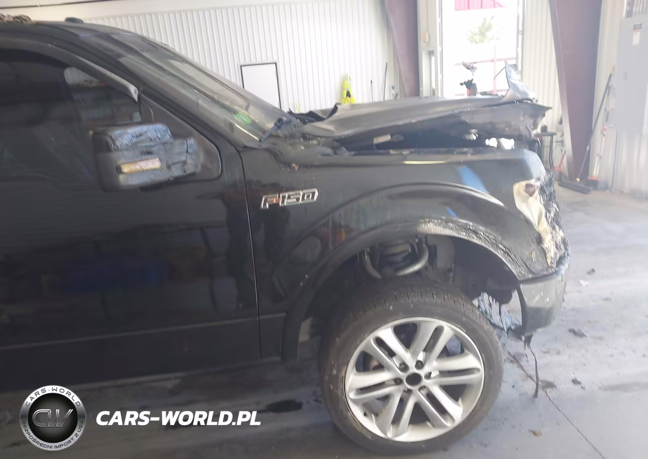 2013 Ford F-150 Limited VIN:1FTFW1ET3DFB97816 - 13