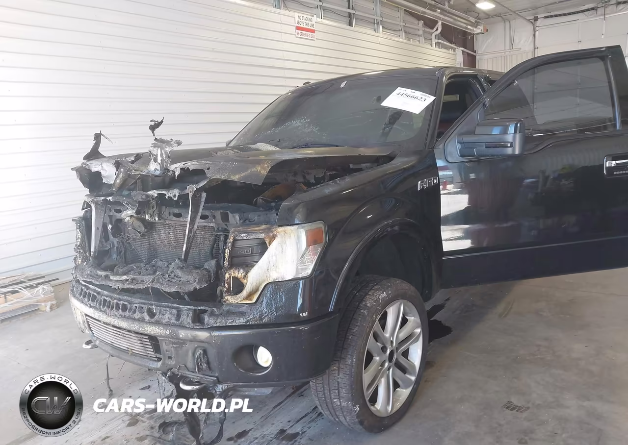 2013 Ford F-150 Limited VIN:1FTFW1ET3DFB97816 - 15