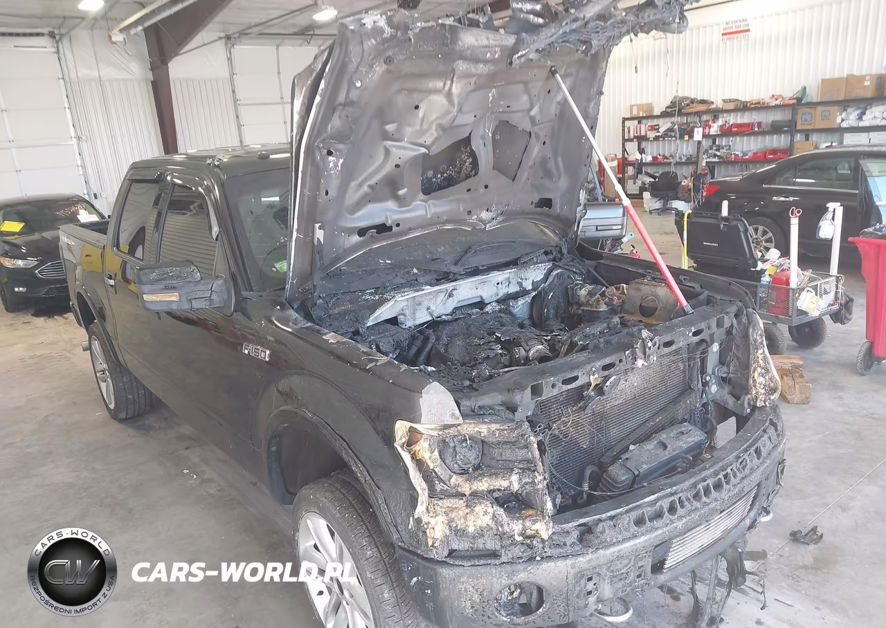 2013 Ford F-150 Limited VIN:1FTFW1ET3DFB97816 - 6