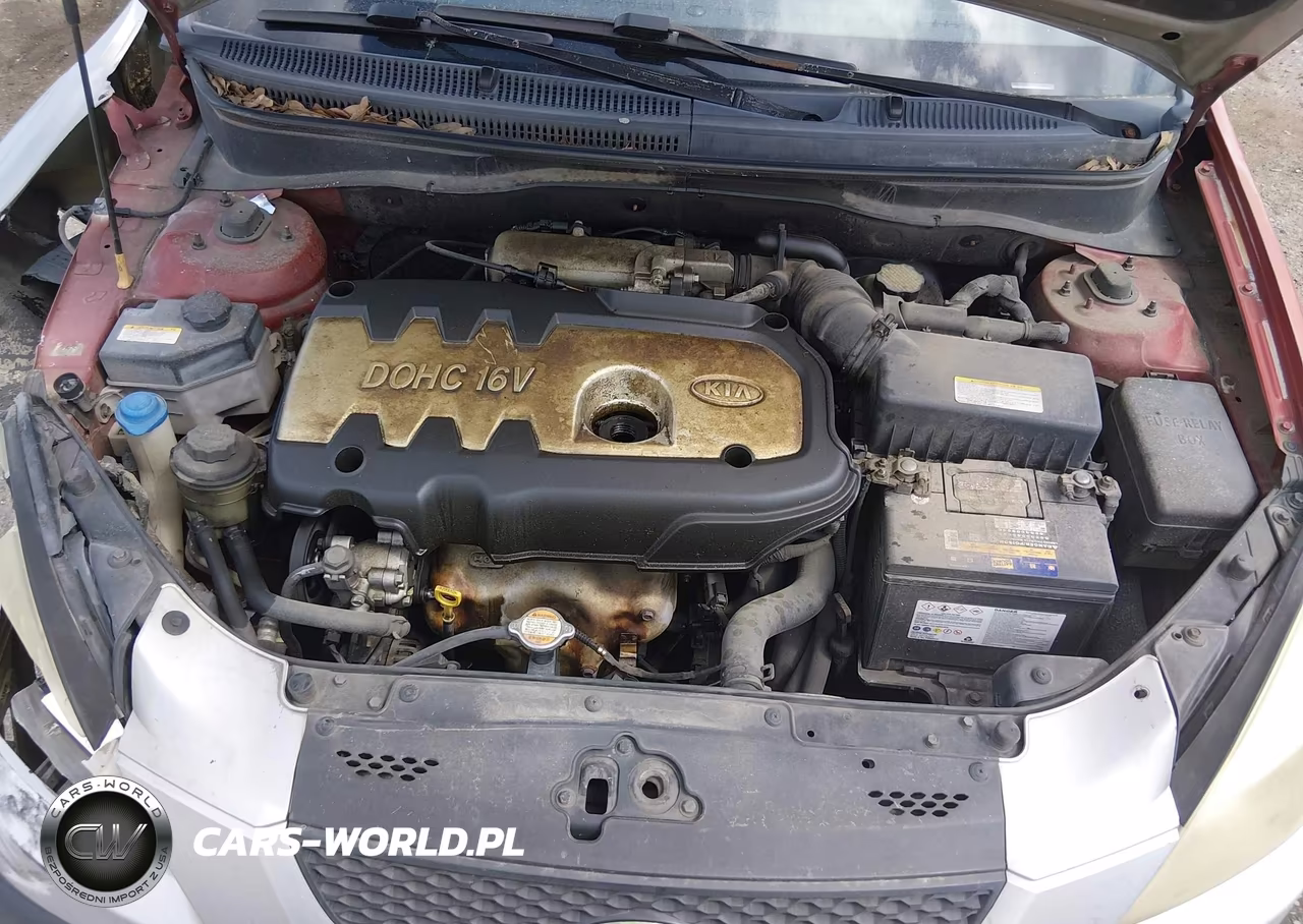 2006 Kia Rio Lx VIN:KNADE123966154581 - 10