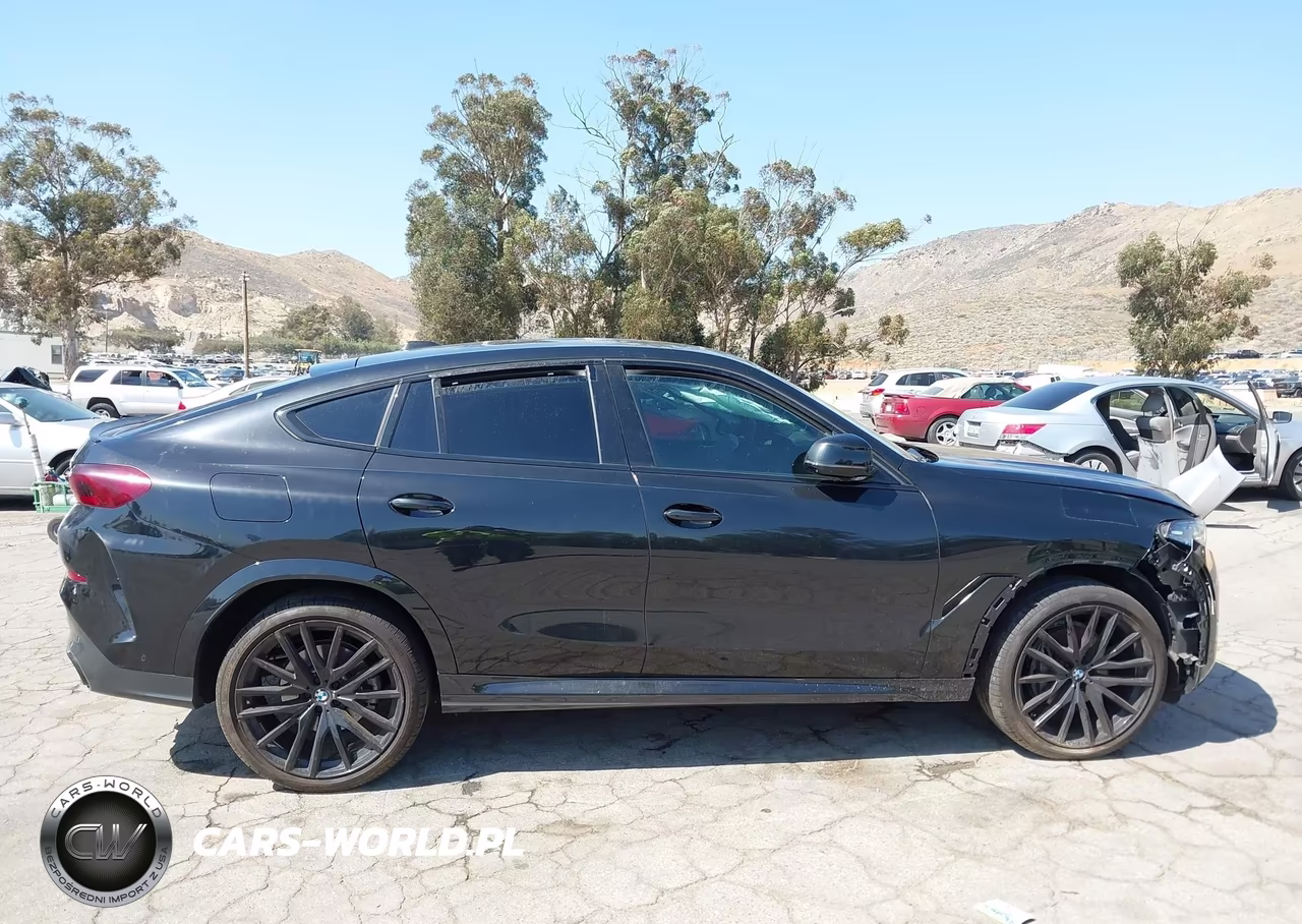 2025 BMW X6 xDrive40I VIN:5UX33EX03S9Z90744 - 12