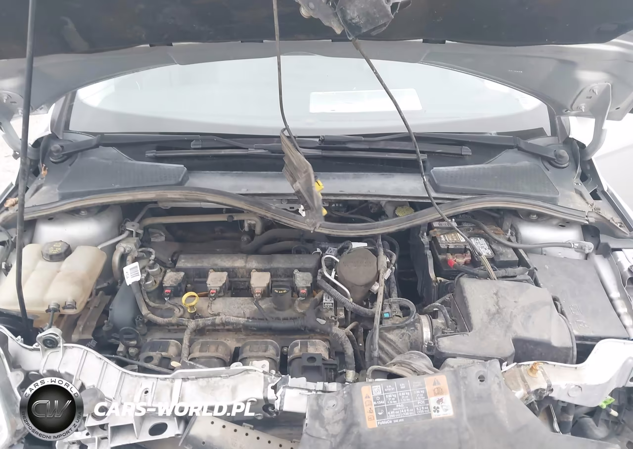 2014 Ford Focus Se VIN:1FADP3F20EL460326 - 10