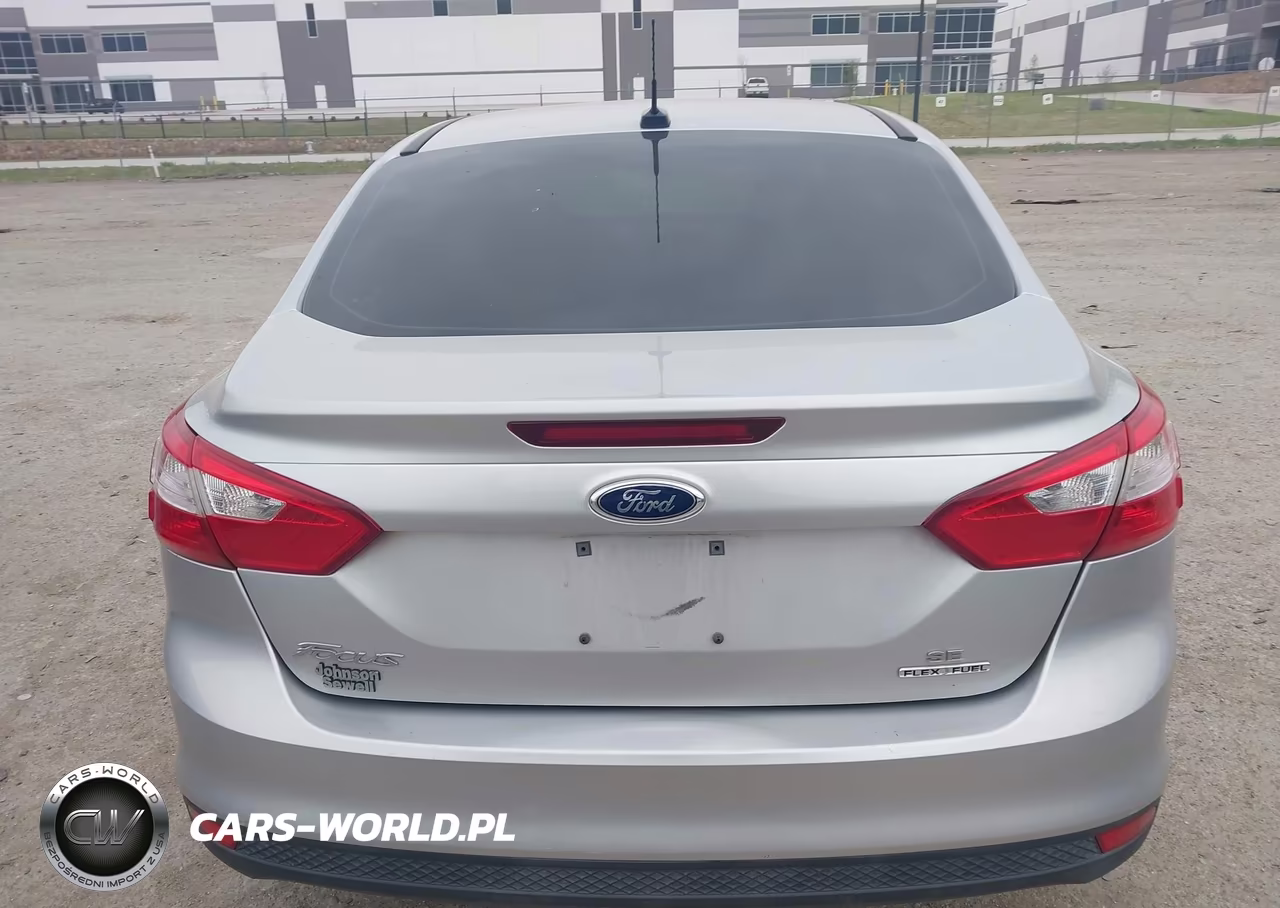 2014 Ford Focus Se VIN:1FADP3F20EL460326 - 16