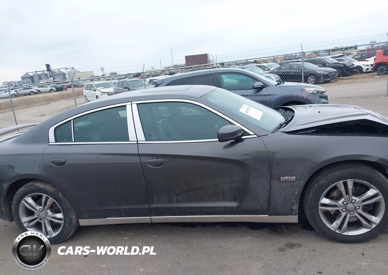 2013 Dodge Charger R-T Plus VIN:2C3CDXDT2DH697059 - 14