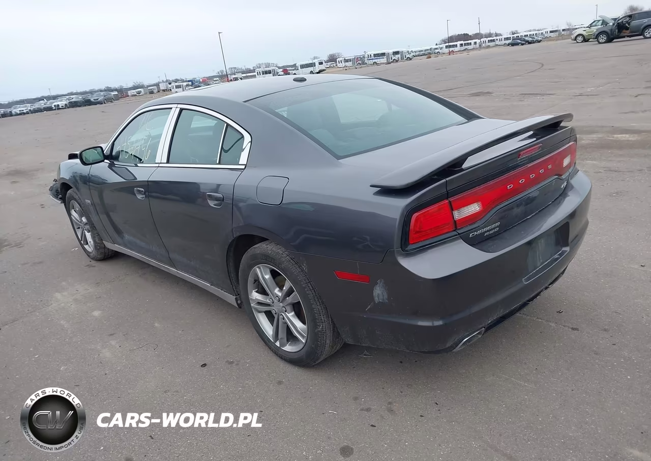 2013 Dodge Charger R-T Plus VIN:2C3CDXDT2DH697059 - 3