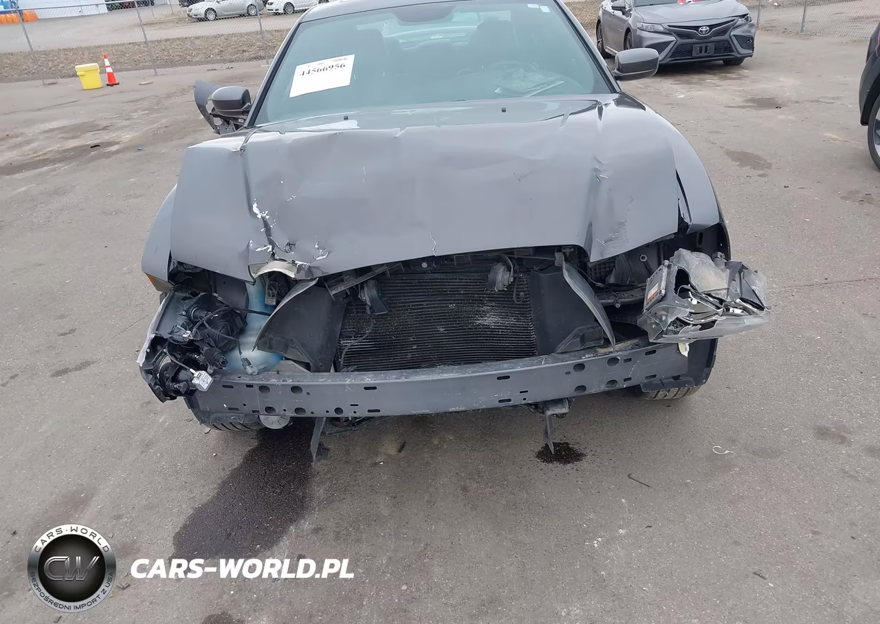 2013 Dodge Charger R-T Plus VIN:2C3CDXDT2DH697059 - 6