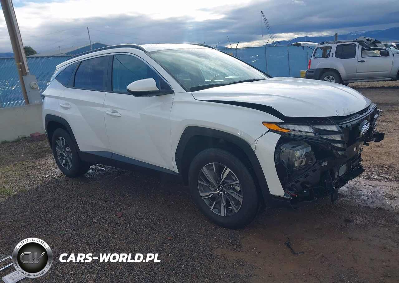 2024 Hyundai Tucson Hybrid Blue