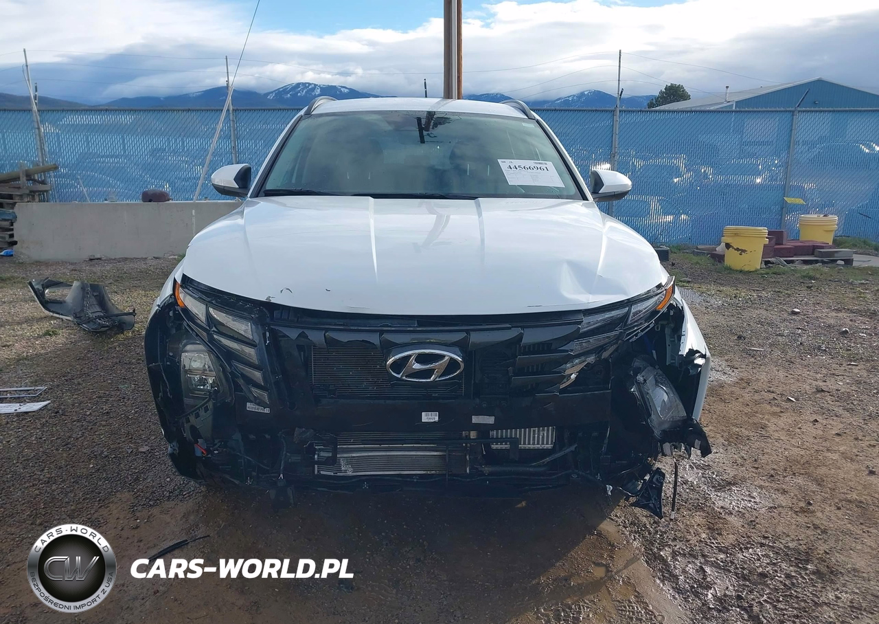 2024 Hyundai Tucson Hybrid Blue VIN:KM8JBCD13RU210855 - 13