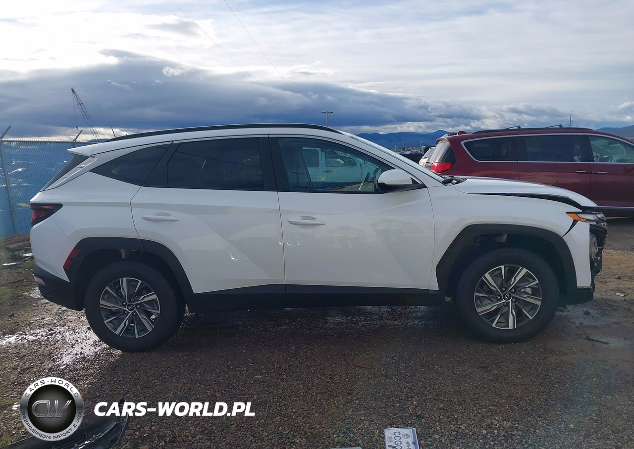 2024 Hyundai Tucson Hybrid Blue VIN:KM8JBCD13RU210855 - 14