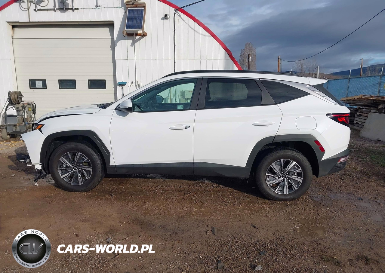2024 Hyundai Tucson Hybrid Blue VIN:KM8JBCD13RU210855 - 15