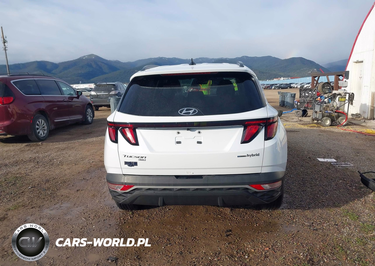 2024 Hyundai Tucson Hybrid Blue VIN:KM8JBCD13RU210855 - 17