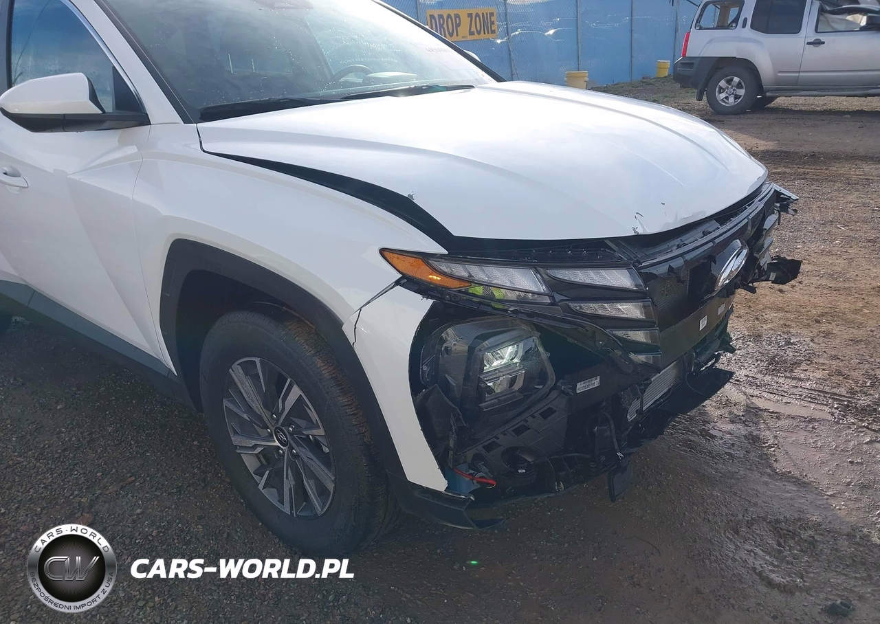 2024 Hyundai Tucson Hybrid Blue VIN:KM8JBCD13RU210855 - 19
