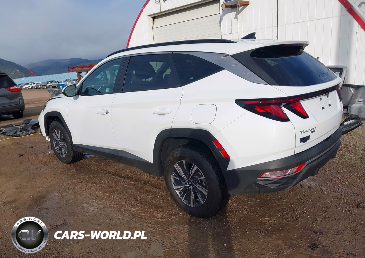 2024 Hyundai Tucson Hybrid Blue VIN:KM8JBCD13RU210855 - 3