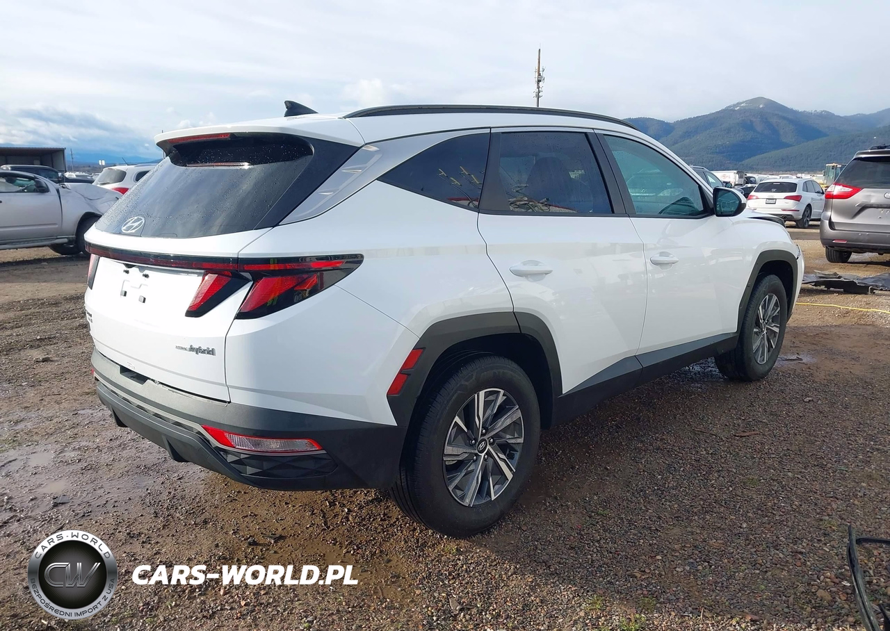 2024 Hyundai Tucson Hybrid Blue VIN:KM8JBCD13RU210855 - 4