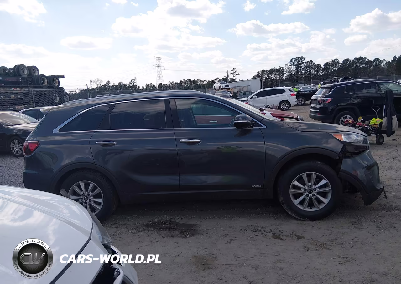 2019 Kia Sorento 2.4L Lx VIN:5XYPGDA31KG604258 - 14