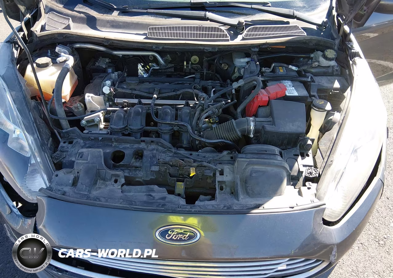 2017 Ford Fiesta Se VIN:3FADP4BJ0HM162204 - 10