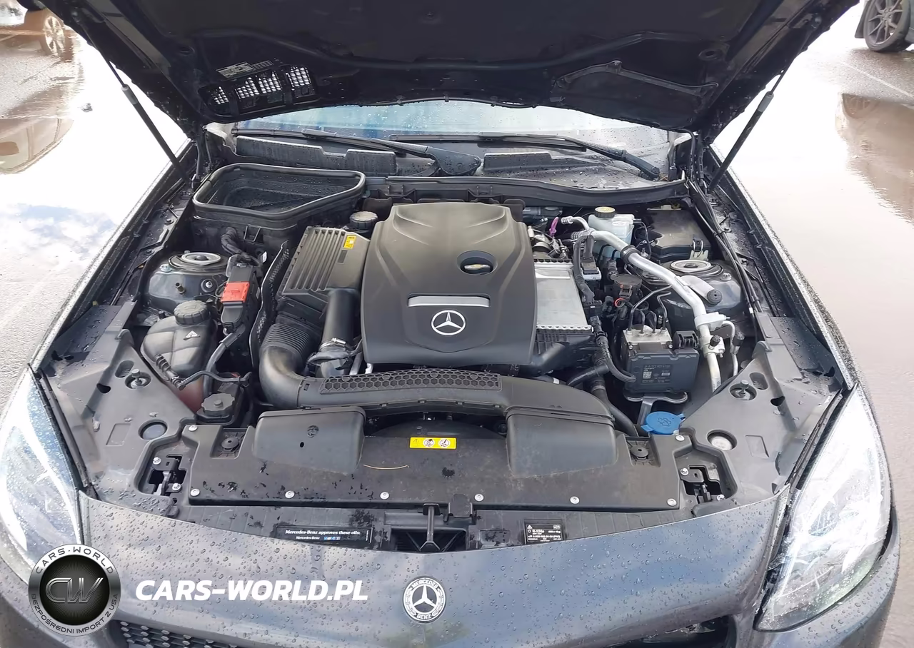 2019 Mercedes-Benz Slc 300 VIN:WDDPK3JA8KF160926 - 10