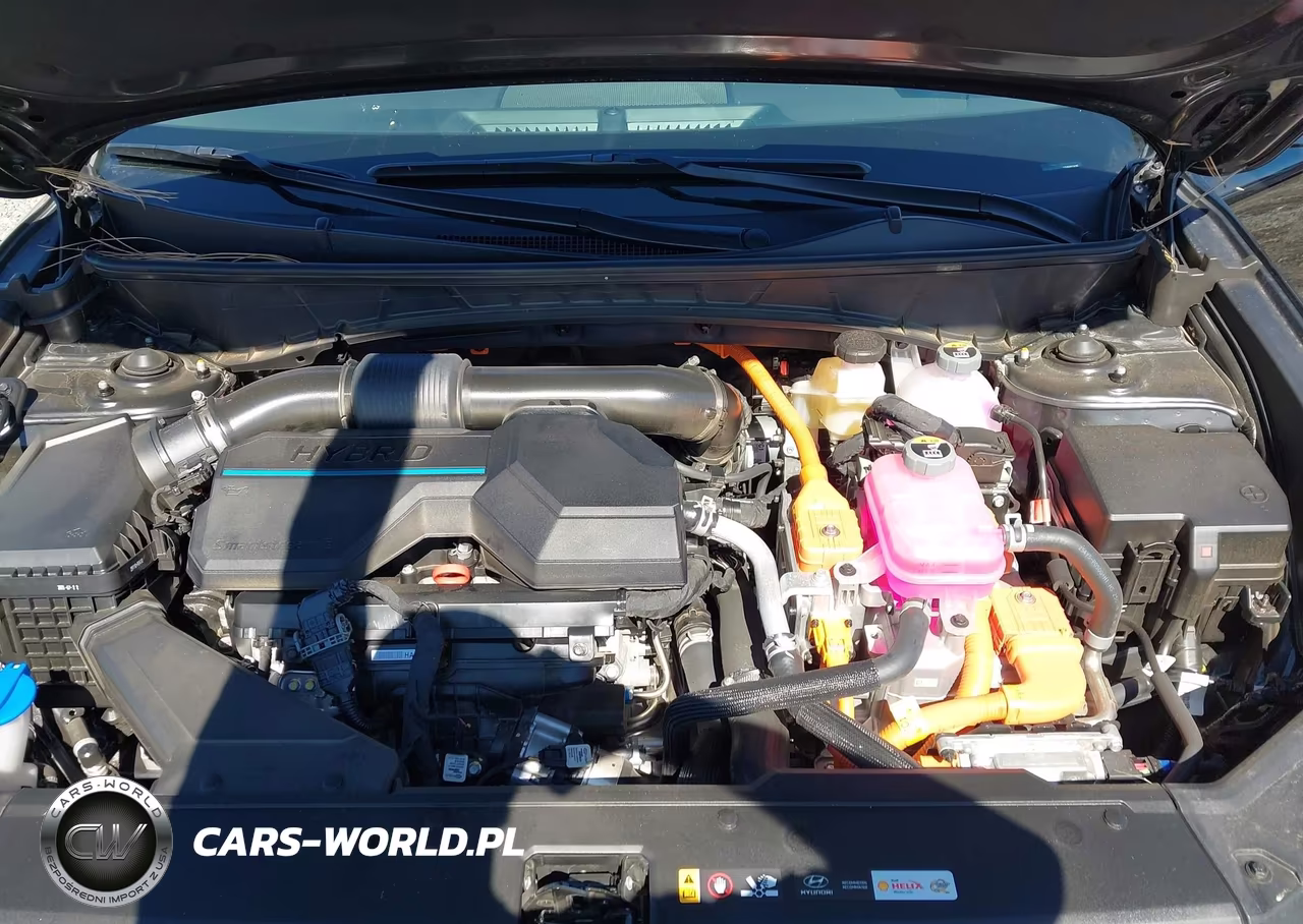 2025 Hyundai Tucson Hybrid Blue VIN:KM8JBDD14SU393405 - 10